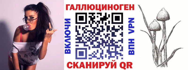 купить наркотик Озёры Галлюциногенные грибы прущие грибы